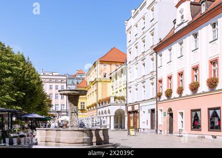 Rynek avec fontaines et étals de marché à Świdnica (Schweidnitz, Swidnica) dans la voïvodie de Dolnośląskie en Pologne Banque D'Images