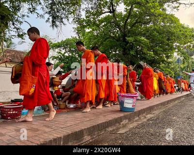 Luang Prabang, Laos. 16 avril 2024. Les moines et les novices défilent dans les rues de Luang Prabang dans leurs robes orange tôt le matin et reçoivent de la nourriture comme du riz collant et des fruits des habitants. La ronde de l'aumône est un rituel ancien. Le spectacle fascinant attire maintenant de plus en plus de touristes du monde entier. Crédit : Carola Frentzen/dpa/Alamy Live News Banque D'Images
