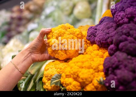 Les mains tiennent un bouquet de chou-fleur jaune sur le fond d'un comptoir de magasin. Achetez des légumes. Banque D'Images