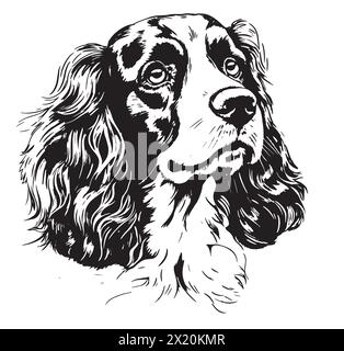Dessin détaillé en noir et blanc d'un Cocker Spaniel, une race de chien connue pour ses capacités de travail. Sa nature carnivore et son museau distinctif sont magnifiquement capturés dans cette représentation artistique Illustration de Vecteur