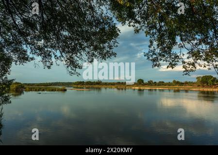 Vue paysage sur les rives de la rivière Okavango, Caprivi, Namibie Banque D'Images