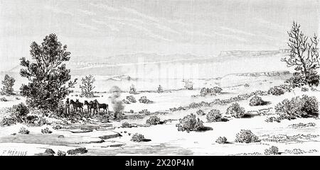 Troupeau de chevaux Mustang dans le désert de l'Utah. États-Unis. Dessin d'Albert Tissandier. Voyage d'exploration dans l'Utah et l'Arizona, Kanab et le plateau de Kaibab en 1885. Le Tour du monde 1886 Banque D'Images