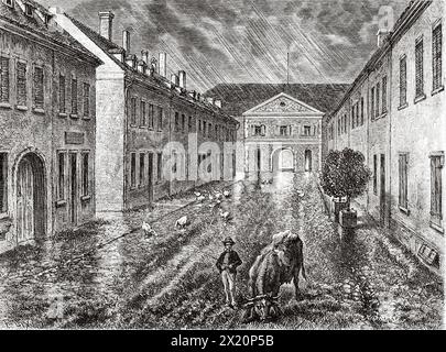 Vache paissant un jour de pluie dans les rues de neuf-Brisach, Alsace, France. Dessin de Frédéric Théodore LIX (1830 - 1897) à travers l'Alsace et la Lorraine, 1884 de Charles Grad (1842 - 1890) le Tour du monde 1886 Banque D'Images