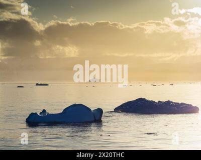 Lever de soleil sur les icebergs dans le détroit d'Orléans près de l'île Trinity, péninsule Antarctique Banque D'Images