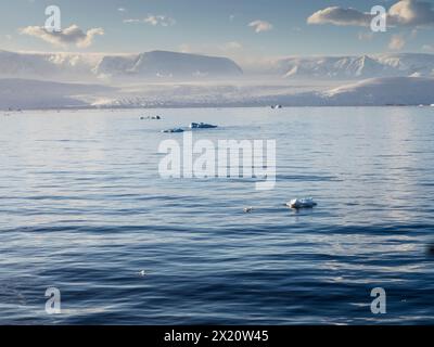 Petits icebergs ('Growers') dans le détroit d'Orléans au large de la côte Davis, péninsule Antarctique Banque D'Images