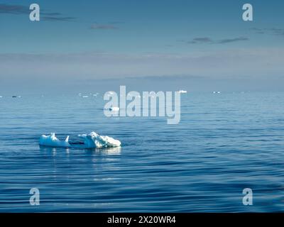 Petits icebergs ('Growers') dans le détroit d'Orléans au large de la côte Davis, péninsule Antarctique Banque D'Images