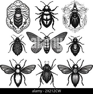 Illustration vectorielle d'un insecte en silhouette noire sur un fond blanc propre, capturant les formes gracieuses de ce vecteur. Illustration de Vecteur