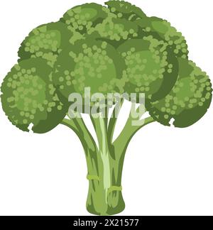 Le brocoli vector illustration Illustration de Vecteur