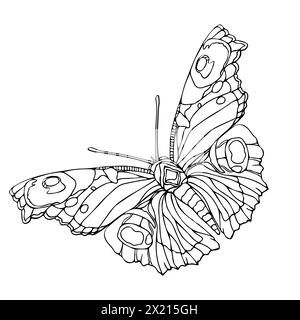 Un papillon avec un corps noir et des taches blanches. Le papillon est dessiné avec beaucoup de détails, y compris ses ailes et ses antennes. Illustration vectorielle de dessin au trait Illustration de Vecteur