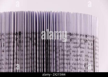 un livre avec des pages pliées se présente comme un magasin analogique de connaissances, image rapprochée avec de vraies ombres Banque D'Images