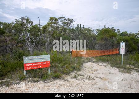 Resolute Loop Trail dans le parc national de Ku-ring-gai Chase, North Mackerel Trail fermé, directions à Resolute Beach, Sydney, NSW, Australie Banque D'Images