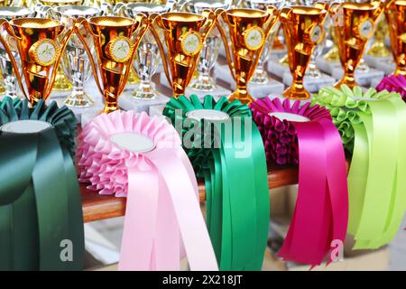 Groupe de beaux trophées colorés et rubans pour les gagnants et les participants à l'événement équestre en plein air Banque D'Images