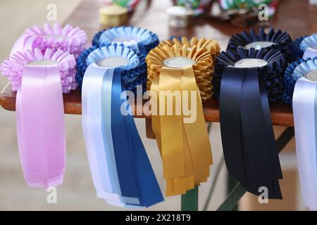 Groupe de beaux trophées colorés et rubans pour les gagnants et les participants à l'événement équestre en plein air Banque D'Images