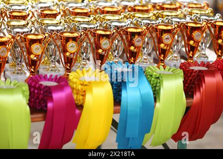 Groupe de beaux trophées colorés et rubans pour les gagnants et les participants à l'événement équestre en plein air Banque D'Images