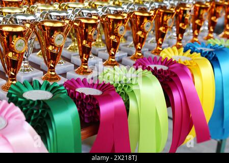 Groupe de beaux trophées colorés et rubans pour les gagnants et les participants à l'événement équestre en plein air Banque D'Images