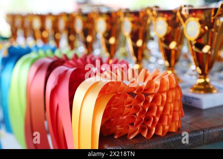 Groupe de beaux trophées colorés et rubans pour les gagnants et les participants à l'événement équestre en plein air Banque D'Images