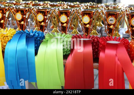 Groupe de beaux trophées colorés et rubans pour les gagnants et les participants à l'événement équestre en plein air Banque D'Images