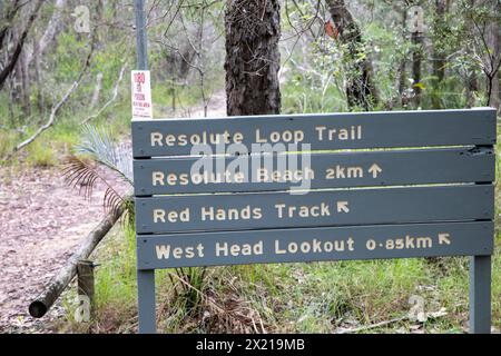 Parc national de Ku-ring-gai Chase près de Sydney, le sentier de randonnée en boucle résolu à West Head, sentier de randonnée dans le Bush à travers le parc, Sydney, Nouvelle-Galles du Sud, Australie Banque D'Images