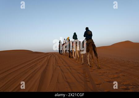 Caravane de chameaux et cavaliers marchant loin, vus sous un angle bas ; le soleil levant rétroéclaire la scène, projetant de douces ombres sur le sable doré. Banque D'Images