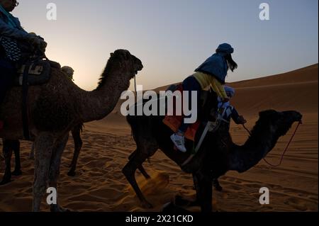 Une touriste monte à dos de chameau qui s'agenouille pour se tenir debout dans le désert de Merzouga, tandis que d'autres cavaliers regardent les dunes qui se déroulent. Banque D'Images