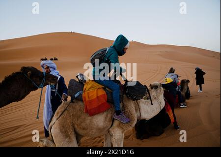 Touriste en train de descendre, son dromadaire est agenouillé ; à proximité, d'autres chameaux reposent sur des dunes de sable du désert de Merzouga. Banque D'Images