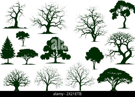 Une collection d'arbres à différents stades de croissance, des jeunes jeunes jeunes jeunes jeunes aux vieux troncs noueux Illustration de Vecteur