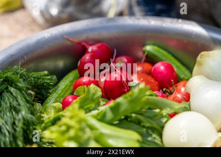 Un bol de légumes comprenant des radis, des tomates, des concombres Banque D'Images