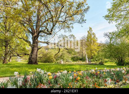 Parc du château de Pillnitz au printemps, Dresde, Saxe, Allemagne Banque D'Images