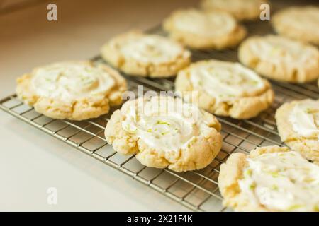 Biscuits au citron vert givrés refroidissant sur une grille métallique Banque D'Images