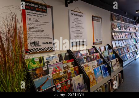 Poole, Dorset, Royaume-Uni. 19 avril 2024. Le magasin de disques Boiler Room Records de Kingland Crescent, Poole prépare la journée du magasin de disques demain, encourageant les gens à visiter et soutenir les magasins de disques locaux. Le magasin ouvre à 8h du matin avec des files d'attente attendues pour accéder à des centaines d'éditions limitées d'un large éventail d'artistes, qu'ils ne peuvent pas enregistrer à l'avance ou précommander. Des légendes comme David Bowie qui ne sont plus avec nous seront des vinyles populaires. Crédit : Carolyn Jenkins/Alamy Live News Banque D'Images