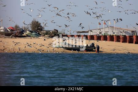 Un pêcheur vérifiant son équipement, Portugal, Algarve, Ria Formosa, Olhao Banque D'Images