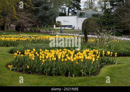 Les jardins Jephson au printemps, Leamington Spa, Warwickshire, Angleterre, Royaume-Uni Banque D'Images