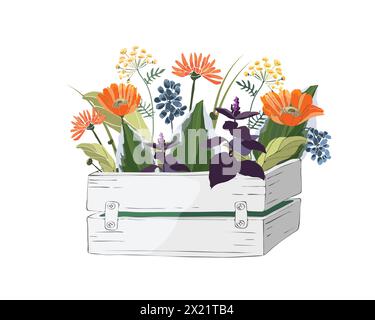 Fleurs de vecteur dans une boîte blanche en bois de jardin. Illustration de Vecteur