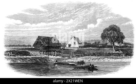 Le meurtre d'un missionnaire par les Maoris en Nouvelle-Zélande : scène du meurtre du révérend Volkner, 1865. 'La guerre des races qui dure depuis deux ou trois ans... ne semble pas susceptible d'aboutir à une fin rapide... L'hideuse superstition qui prévaut maintenant, qui prend le nom de "Pai Marire" de la Vierge Marie, dont ils [c'est-à-dire les Maoris] ont entendu parler d'un missionnaire catholique français... est tenu de sanctifier la commission de tout crime ou infraction... les Maoris avaient tous prêté serment la veille de tuer chaque ministre ou soldat qui est venu là... ils ont alors dit [M. Vo Banque D'Images