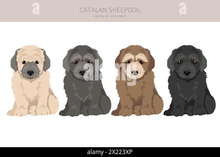 Clipart chiot berger catalan. Différentes poses, couleurs de manteau définies. Illustration vectorielle Illustration de Vecteur