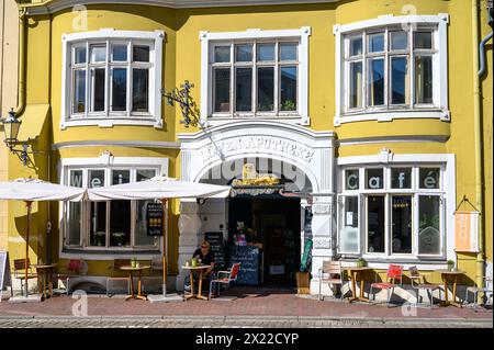 Café Alte Löwenapotheke, Wismar, Mecklembourg-Poméranie occidentale, Allemagne Banque D'Images