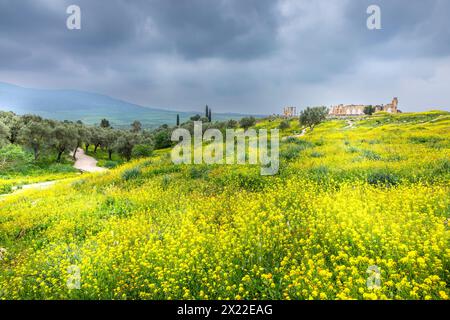 Volubilis, Maroc - 20 mars 2024 : attraction touristique et site archéologique romain situé près de Meknès. Volubilis, Maroc est une HER mondiale de l'UNESCO Banque D'Images