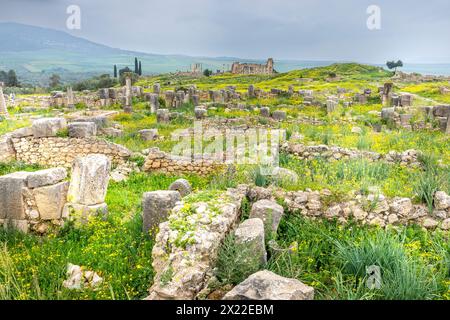 Volubilis, Maroc - 20 mars 2024 : attraction touristique et site archéologique romain situé près de Meknès. Volubilis, Maroc est une HER mondiale de l'UNESCO Banque D'Images