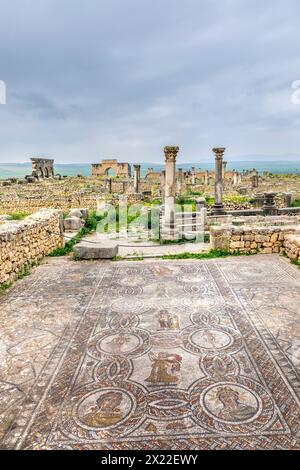 Volubilis, Maroc - 20 mars 2024 : attraction touristique et site archéologique romain situé près de Meknès. Volubilis, Maroc est une HER mondiale de l'UNESCO Banque D'Images