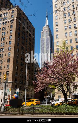 L'Empire State Building visible depuis une Park Avenue bordée de cerisiers dans le district de Murray Hill, 2024, New York City, États-Unis Banque D'Images