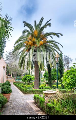 Rabat, Maroc - 23 mars 2024 : oasis de fraîcheur très appréciée par les Rabatis, le jardin des Oudayas, situé dans la Kasbah des Oudayas ier Banque D'Images