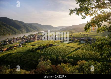 Vue sur les vignobles à Weißenkirchen in der Wachau avec l'église paroissiale de l'Assomption de Marie et le Danube, site du patrimoine mondial de l'UNESCO "W Banque D'Images