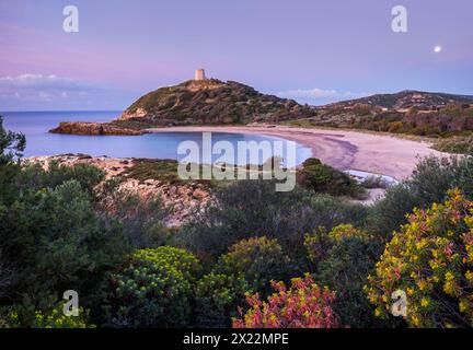 Torre di Chia, Spiaggia di Su Portu, Sardaigne, Italie Banque D'Images