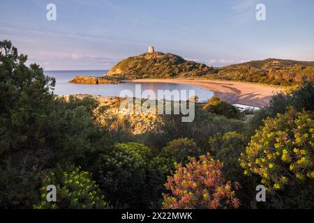 Torre di Chia, Spiaggia di Su Portu, Sardaigne, Italie Banque D'Images