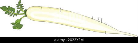 Illustration vectorielle du navet Illustration de Vecteur
