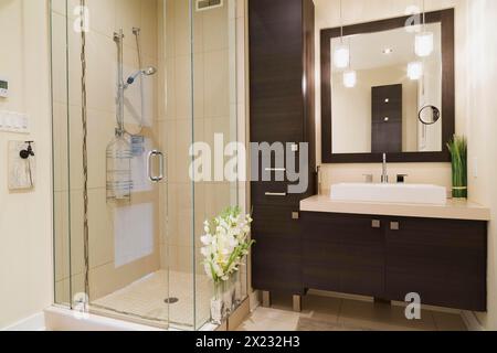 Vanité contemporaine en bois laminé brun avec miroir et cabine de douche en verre clair dans la salle de bains à l'intérieur d'un appartement rénové au rez-de-chaussée dans un ancien Banque D'Images