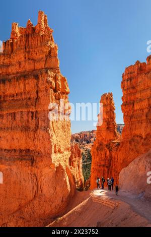 Randonneurs sur le Queen's Garden Trail, Bryce Canyon National Park, Colorado plateau, Utah, États-Unis, États-Unis, États-Unis, Bryce Canyon, Utah, États-Unis Banque D'Images