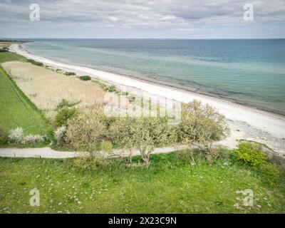 Plage déserte sur la mer Baltique au printemps, Falshöft, Schleswig-Holstein, Allemagne, Europe Banque D'Images