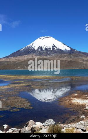 Chili ; Nord du Chili ; région d'Arica y Parinacota ; à la frontière avec la Bolivie ; Parc national de Lauca ; volcan Parinacota ; reflété sur la surface de l'eau Banque D'Images