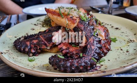 Calmars frit sur une assiette Banque D'Images
